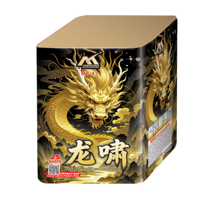 DSS-02 10" 25 SHOOTS DRAGON SOUND FIREWORK 10"25发龙啸