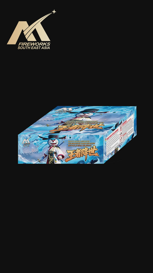 MCS-05B 4"138 SHOOTS FIREWORK (PRO) 4"138发盆花 模压 (PRO)