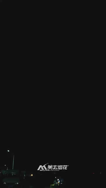 SUS-07 1“2 Hole , 11“100 SHOTS  Fortune Datuk 1.2寸洞，11寸高100发 姥爷保号