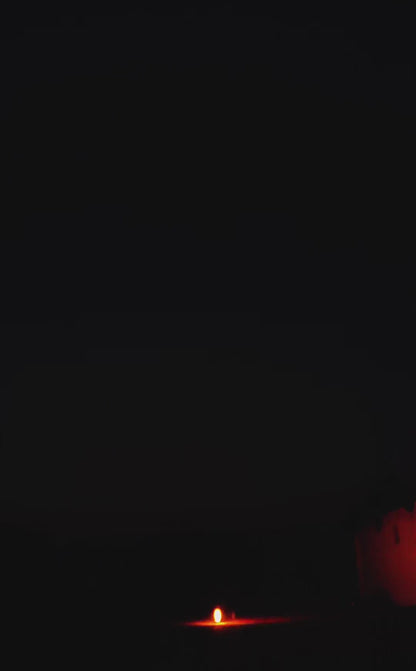 SK-06 SEA OF FLOWERS 49发花海